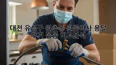 대전 유성구 원촌동 원룸이사 용달 후기: 꼼꼼 비교분석!