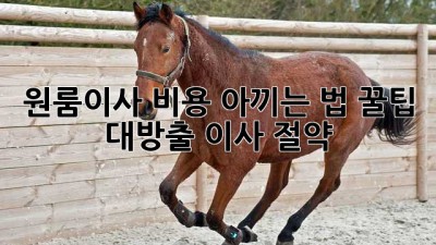 원룸이사 비용 아끼는 법💸 꿀팁 대방출! #이사 #절약