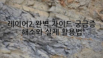 레이어2 완벽 가이드: 궁금증 해소와 실제 활용법